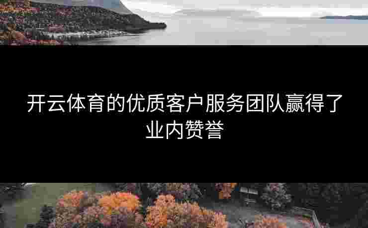 开云体育的优质客户服务团队赢得了业内赞誉